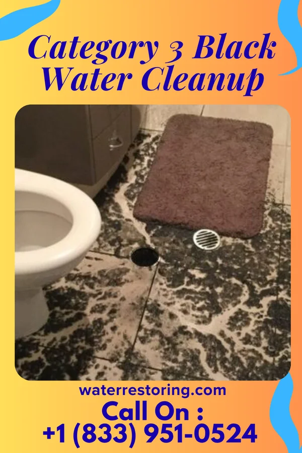 Category 3 Black Water Cleanup in Sigurd, UT